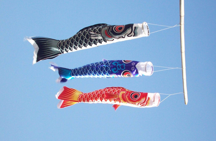 大号鱼旗 鲤鱼旗/日本鲤鱼旗/鲤鱼幡/鱼旗 1米 1.5米 2米