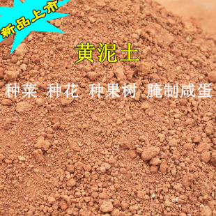 天然黄泥黄土黄泥土腌咸蛋龟垫料装修刷墙种菜种花种果树泥