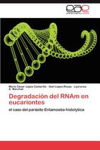 Pre sale of degradacion del RNAm en eucariontes