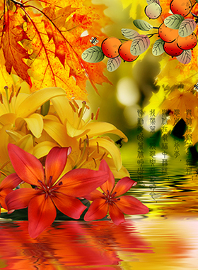 风景画海报秋景枫叶林黄金叶遍地黄金海报画卧室客厅装饰画J1113C