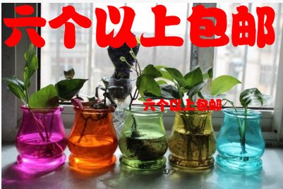 六个包邮玻璃花瓶室内装饰花瓶 水培容器玻璃花盆阳台壁悬挂花瓶