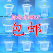 定植篮 100个一件水耕无土栽设备水培杯加深蔬菜植物种植杯固根器