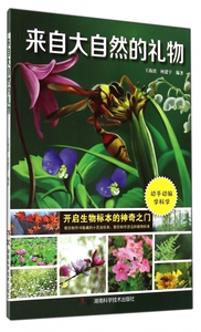 来自大自然的礼物 正版书籍 木垛图书