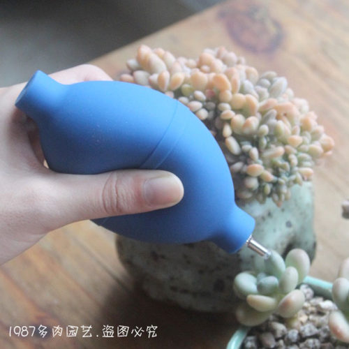 塑胶金属环保多肉植物盆景