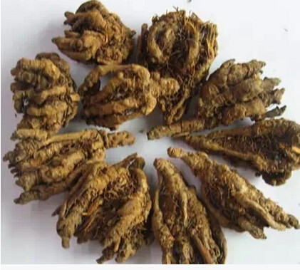 重庆石柱黄水黄连天然散装正品中药材清热鸡爪连黄连川连500g包邮