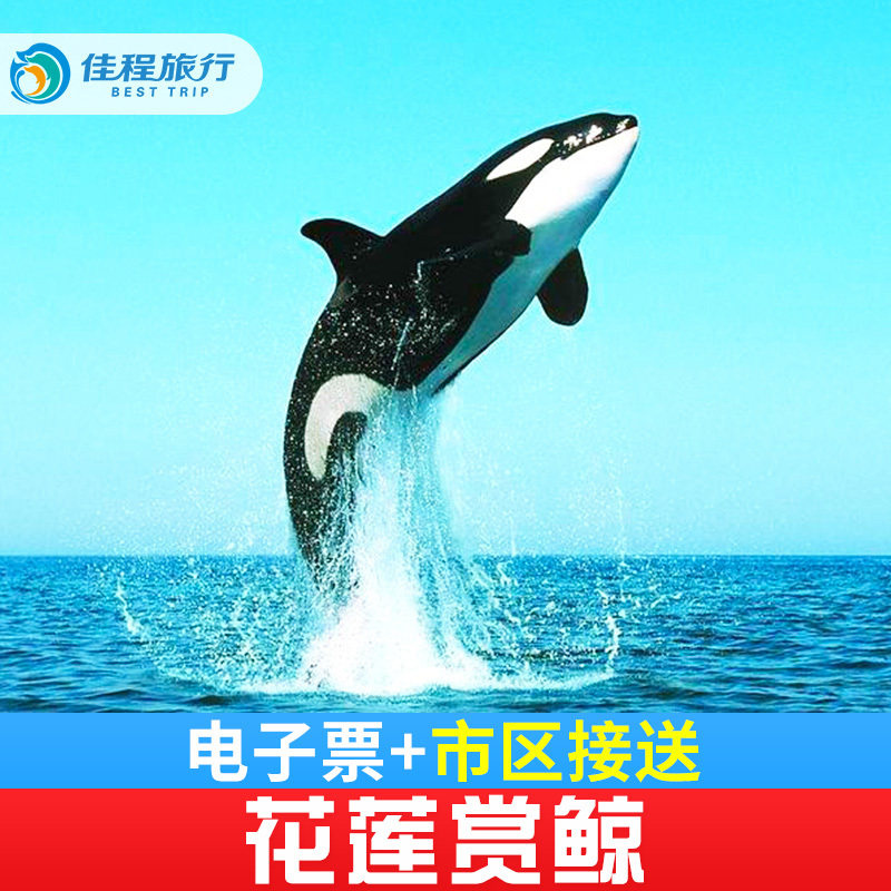 Taiwan Hualien Whale watching admission ticket Sea Wholphin Tickets Round trip Shuttle Parent-child swimming Half a day one-day tourin the Holiday Line/Visas send off/Travel services , Cruise/Pleasure boat , Domestic cruise/Cruise  category - from Buy2taobao.com to provide professional Taobao agent buy service