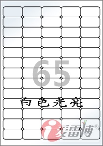 白色光亮标签纸/A4不干胶标签纸/爱雷博光亮标签CL551LG-100张