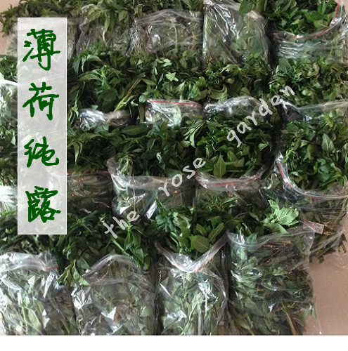 鲜薄荷纯露爽肤水花水清爽控油收缩毛孔舒缓粉刺痘痘500ml包邮