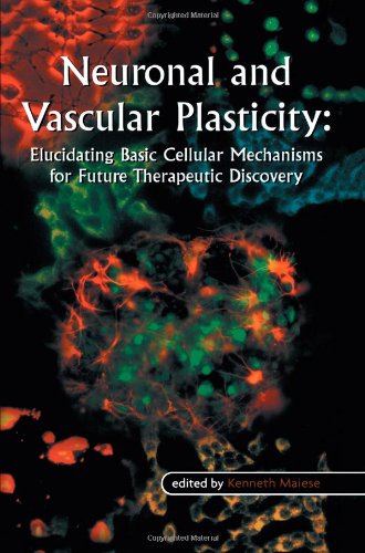 【预售】Neuronal and Vascular Plasticity: Elucidating ... 书籍/杂志/报纸 科普读物/自然科学/技术类原版书 原图主图