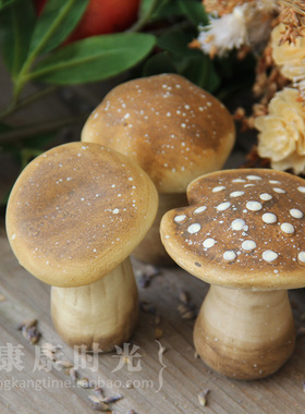 康康时光陶土小蘑菇装饰花园杂货