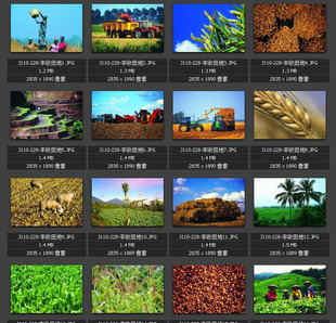 农业机械 收割播种 农田劳作 丰收大地 素材图片图库