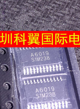 A6019 EUA6019QIR1音频放大器芯片 贴片TSSOP24 全新原装直接拍下