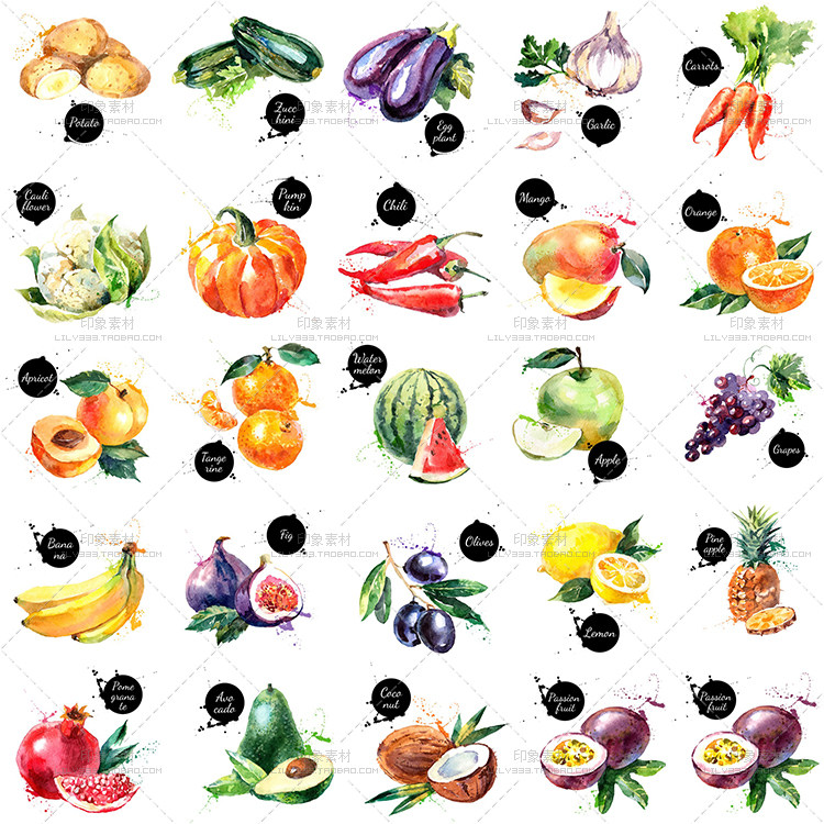 水墨石榴牛油果百香果花菜果蔬海报EPS矢量AI设计素材源文件