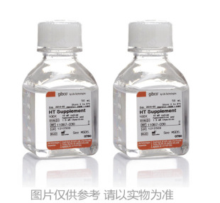 实验试剂 HAT混合盐添加剂 21060 017 GIBCO原装