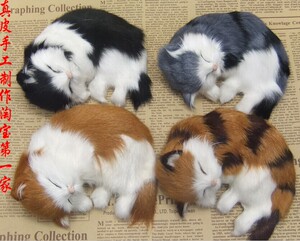 四色可选 仿真动物 小睡猫 超可爱超萌仿真猫咪 玩偶  工艺品