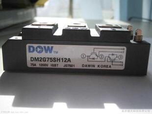 DM2G75SH12A DM2G75SH12AE 大卫 电焊机IGBT模块75A1200V
