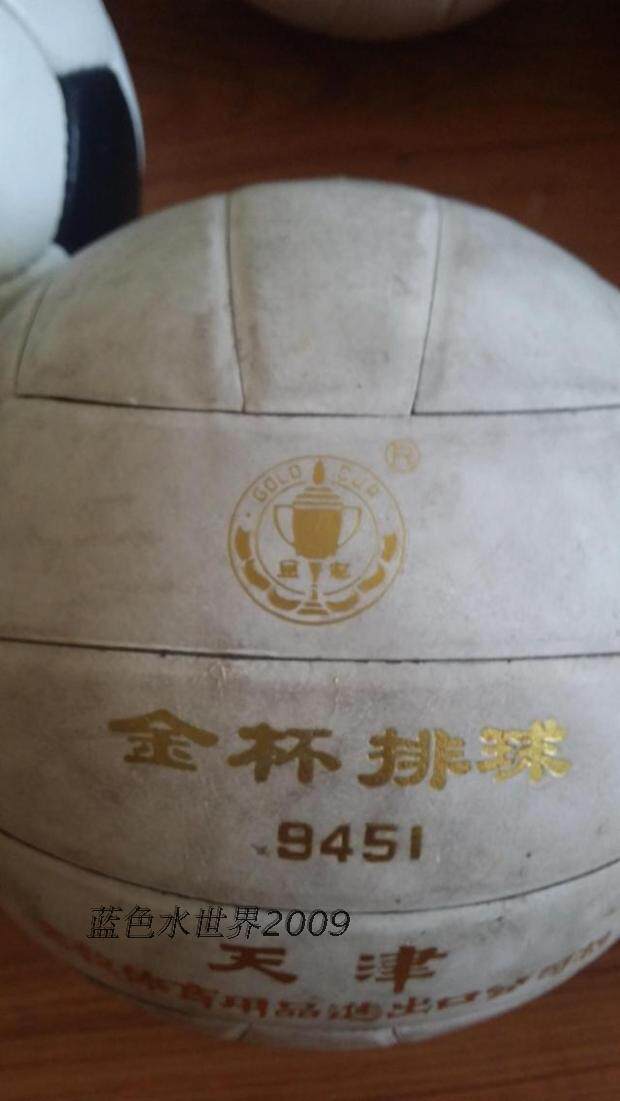 Ballon de volley - Ref 2015972 Image 1