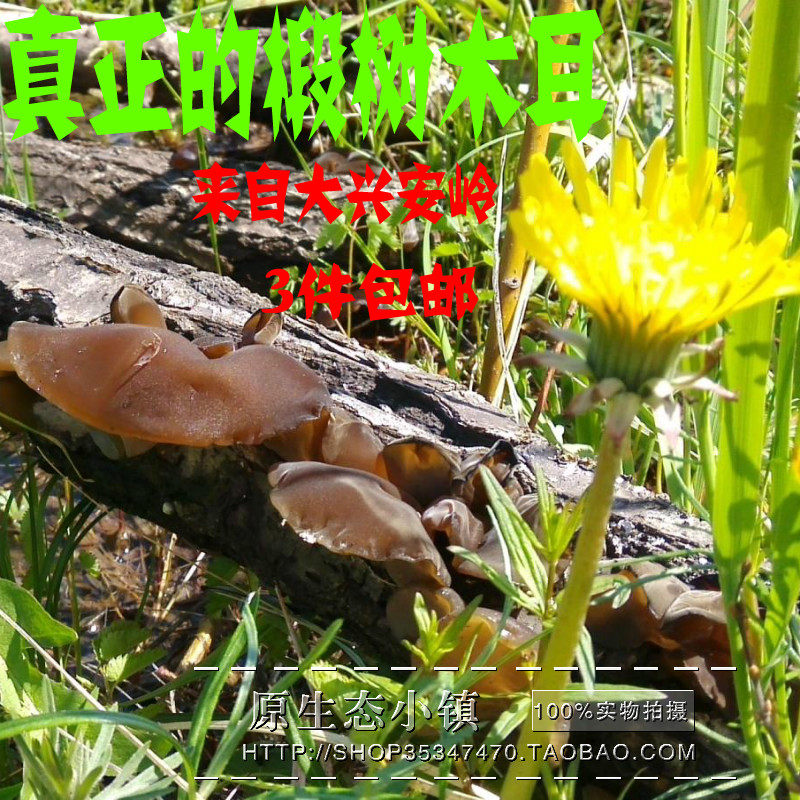 大兴安岭东北黑木耳3件包邮