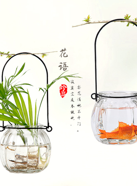 欧式风桌面水培小摆件玻璃花瓶