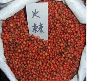 新采 火棘种子 火把果 救军粮 红子刺 树种子 赤阳子绿化苗木
