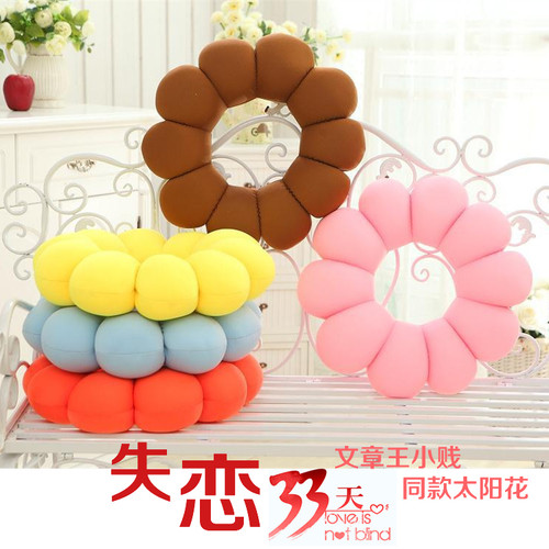 失恋33天太阳花价格 失恋33天太阳花图片 星期三