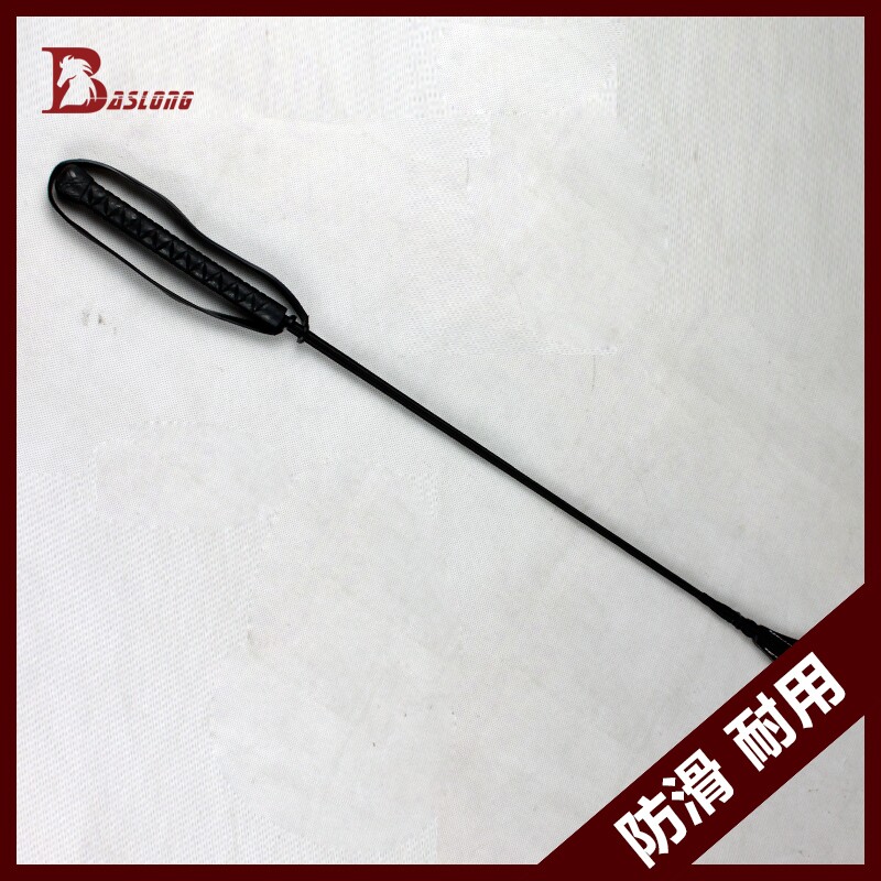 Article sports equestres BASLONG - Ref 1383179 Image 1