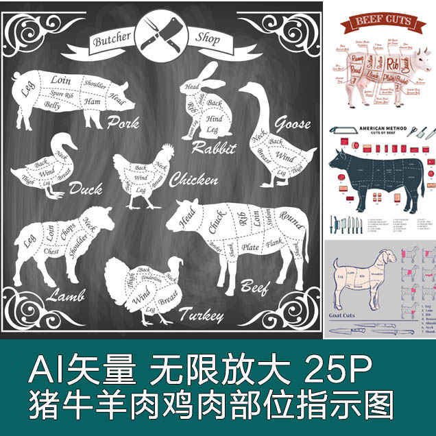 A2981矢量猪牛羊肉鸡肉部位指示图解剖牛排信息图 AI设计素材