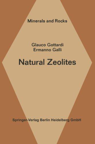 【预订】Natural Zeolites