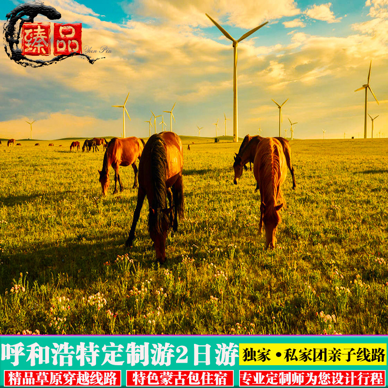 定制旅行 内蒙古呼和浩特辉腾锡勒草原黄花沟2日休闲包车游 橱
