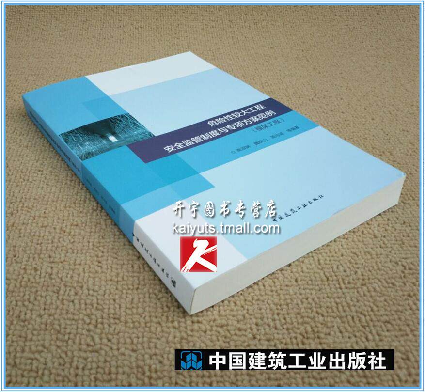 正版 危险性较大工程安全监管制度与专项方案范例 模架工程//高淑娴等编著/适合建筑施工企业的技术人员/模板拆除安全使用书籍