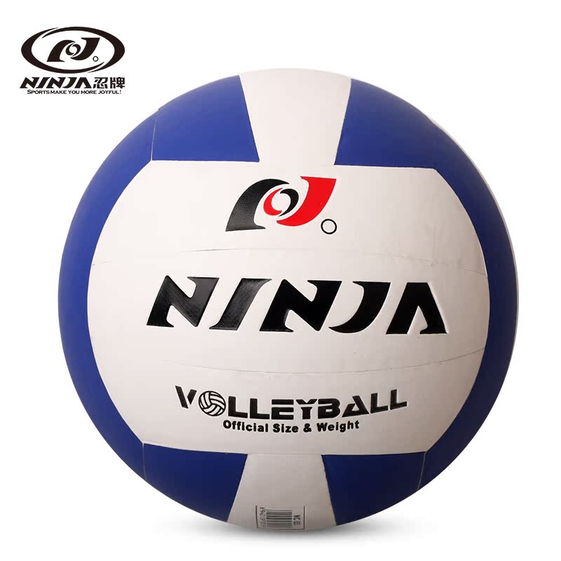 Ballon de volley - Ref 2010957 Image 1