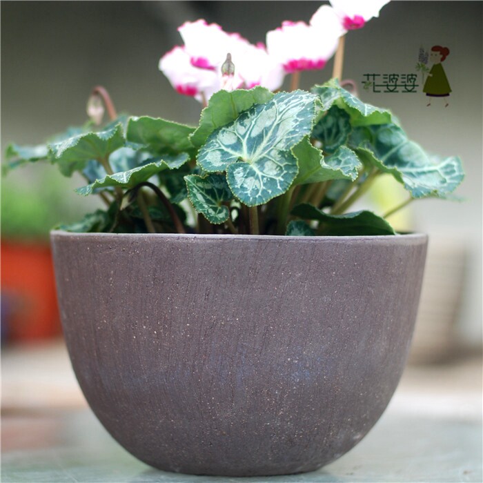花婆婆出口紫砂浪漫海滩钵体陶盆