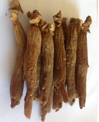 No sugar Red ginseng ginseng Red ginseng quality goods Changbai Ginseng Red ginseng 500 gramin the Traditional nourishing food , Ginseng tonic , Ginseng/Garden ginseng  category - from Buy2taobao.com to provide professional Taobao agent buy service