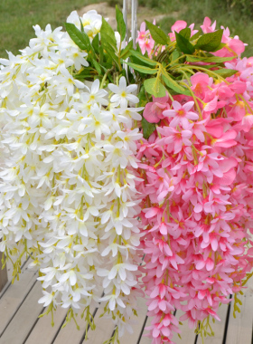 加密翼佳壁挂花藤天津紫藤花包邮