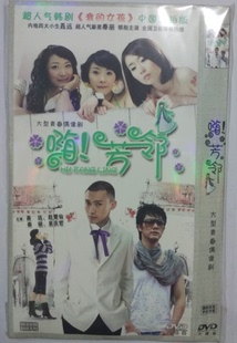 嗨 芳邻 6DVD 现货 版 大型青春偶像剧 简装 包邮