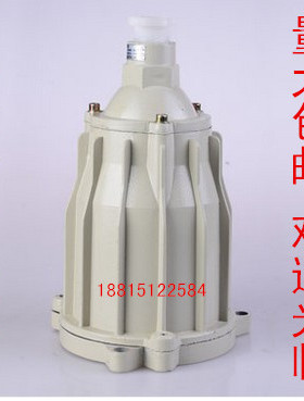 防爆视孔灯反应釜用防爆视镜灯BSD51-60 100W