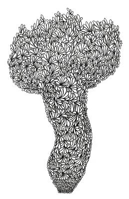 美国库房发货，通常付款后5-8周到货！