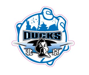 北京精神首钢车贴潮流金隅国安首钢鸭工体好看划痕后窗可移除