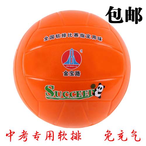 Ballon de volley - Ref 2016755 Image 1