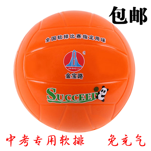 Ballon de volley - Ref 2016755 Image 1