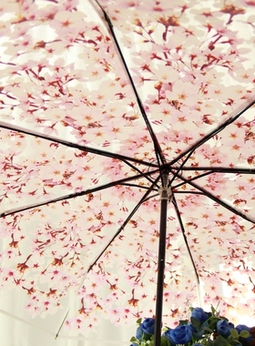 外贸日本浪漫唯美樱花透明伞折叠晴雨伞抗风雨伞少女系花瓣伞粉色