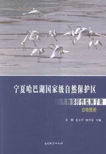 社会生活与社会问题书籍 书 书店 宁夏哈巴湖自然保护区生物多样性监测手册—动物图册 畅想畅销书