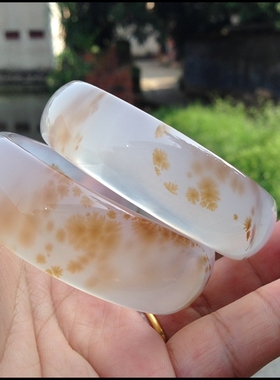 店家收藏纯天然黄金灵性水草白底玛瑙手镯水润通透招财对镯