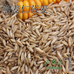 燕麦仁莜麦 甘肃会宁农家特产 杂粮无糖粗粮燕麦米 新货500g