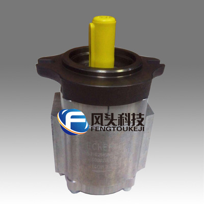 德国ECKERLE艾可勒EIPS2-006RK04-12S111齿轮泵注塑机伺服油泵