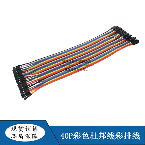 40P杜邦线 双头1P胶壳
