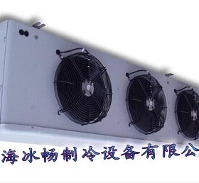 冰畅D型冷风机DL185 D型全系列冷风机 DL/10-DL/410 冷库内机