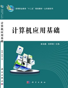 计算机类书籍 计算机应用基础 崔淑鑫 畅想畅销书 书店 书