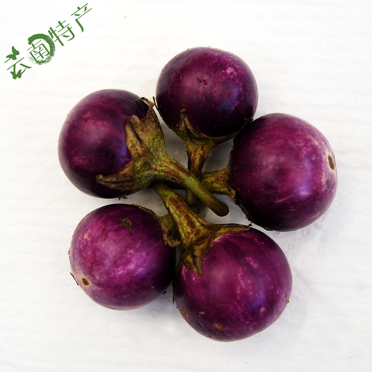 野茄子茄子野味云南蔬菜 产地低价直销配送 火锅餐厅原料
