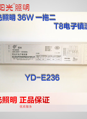 阳光照明 YD-E236 T8阳光荧光灯电子镇流器36W40瓦一拖二塑镇铁整